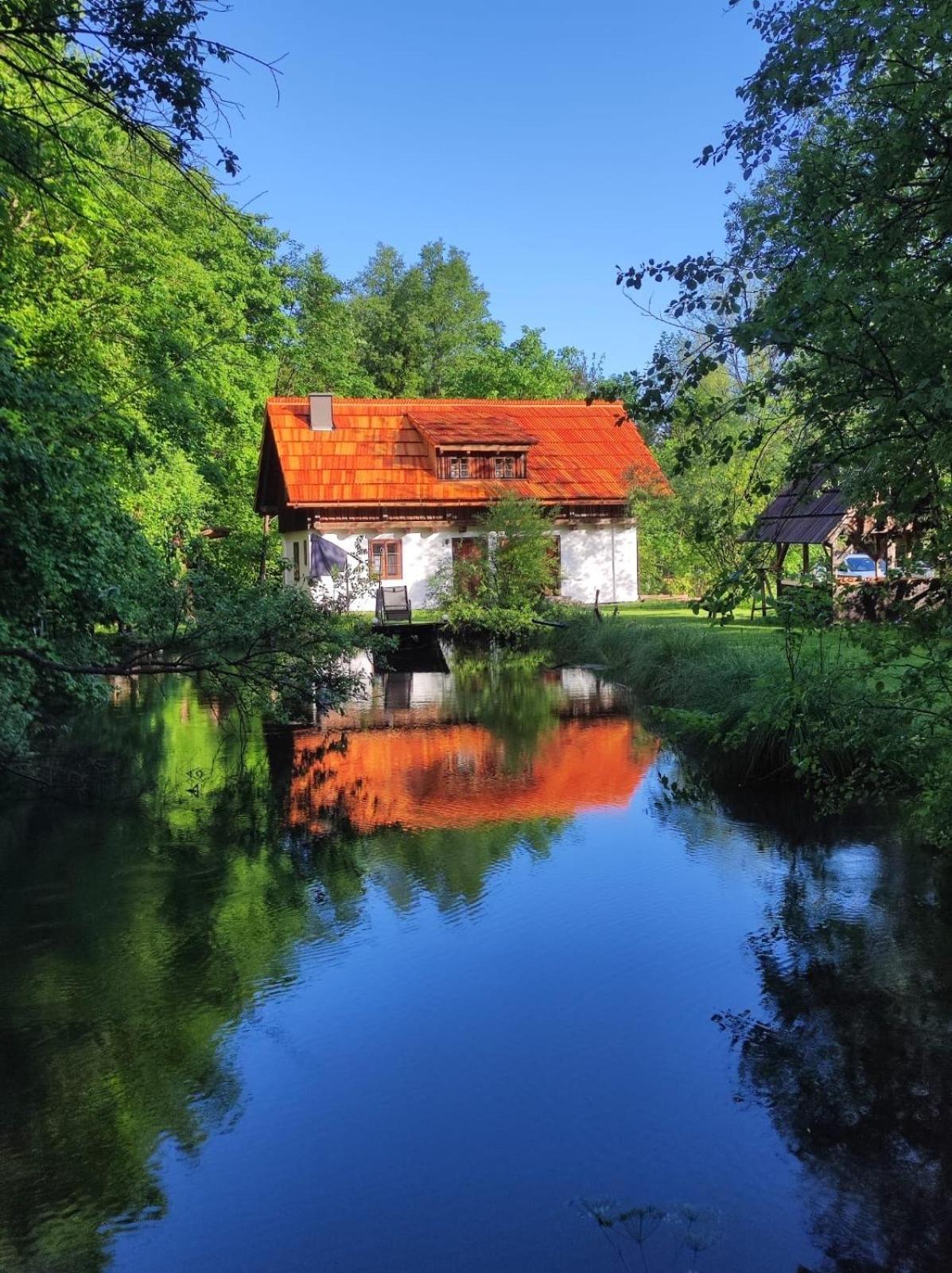 Ferienhaus Klopeinersee Kaernten Sittersdorf Экстерьер фото